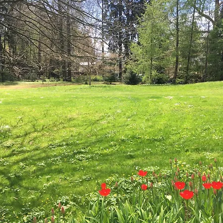 Anna Apartmán Černý Důl
