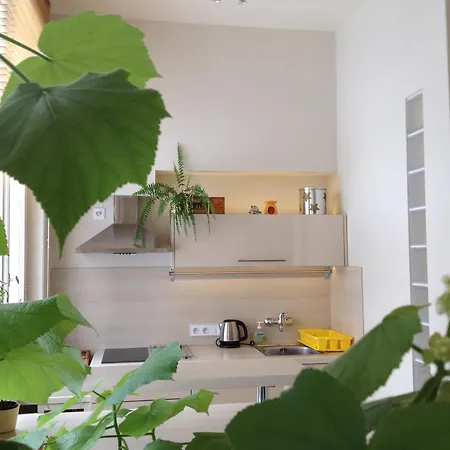 Anna Apartman Černý Dŭl