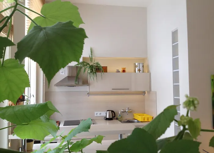 Anna Apartman Černý Dŭl